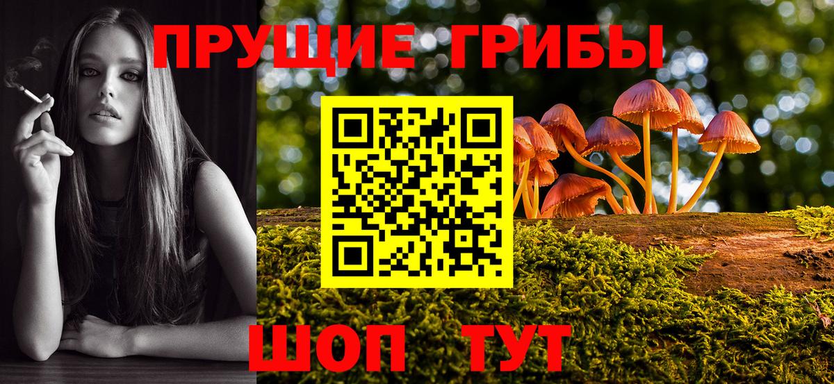Галлюциногенные грибы Psilocybine cubensis  Галлюциногенные грибы Magic Shrooms  Вход с VPN  Кизилюрт 