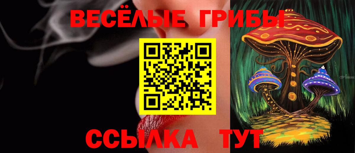 Галлюциногенные грибы прущие грибы Кизилюрт